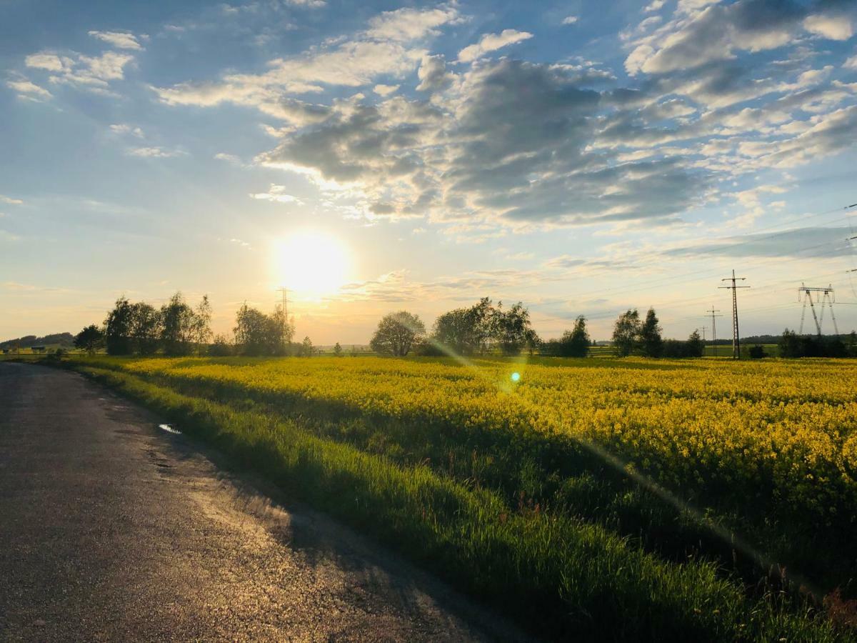 Nibylandia Dom Pod Lasem Nowa Wies Grodziska Exterior photo