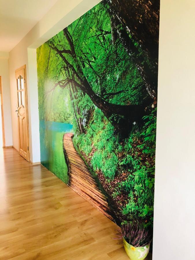 Nibylandia Dom Pod Lasem Nowa Wies Grodziska Exterior photo